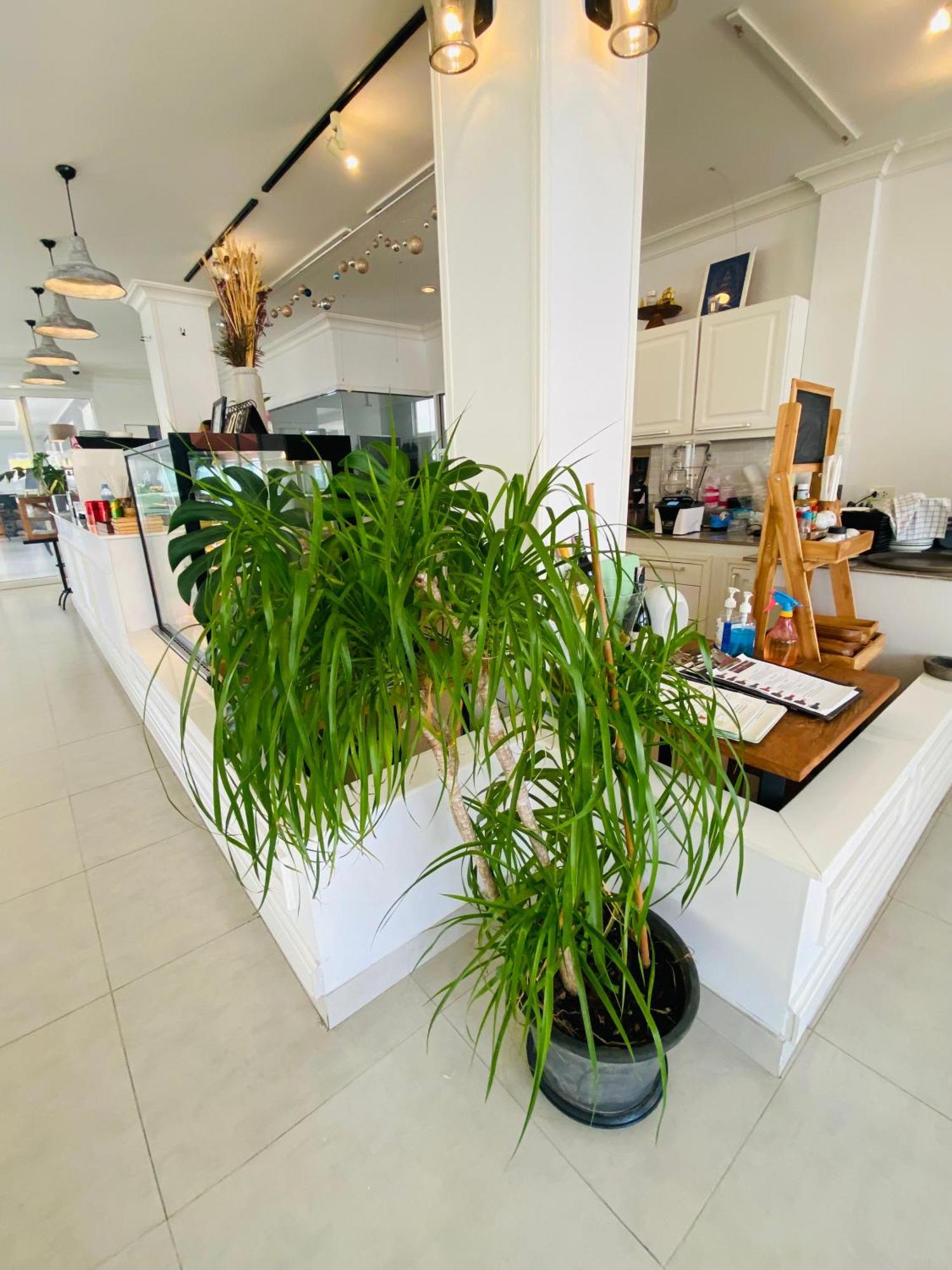 Forget Me Not Boutique Bed & Breakfast Hua Hin Luaran gambar